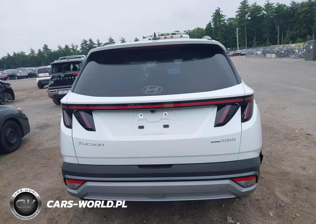 2025 Hyundai Tucson Hybrid Sel Convenience VIN:KM8JCDD16SU386744 - 17