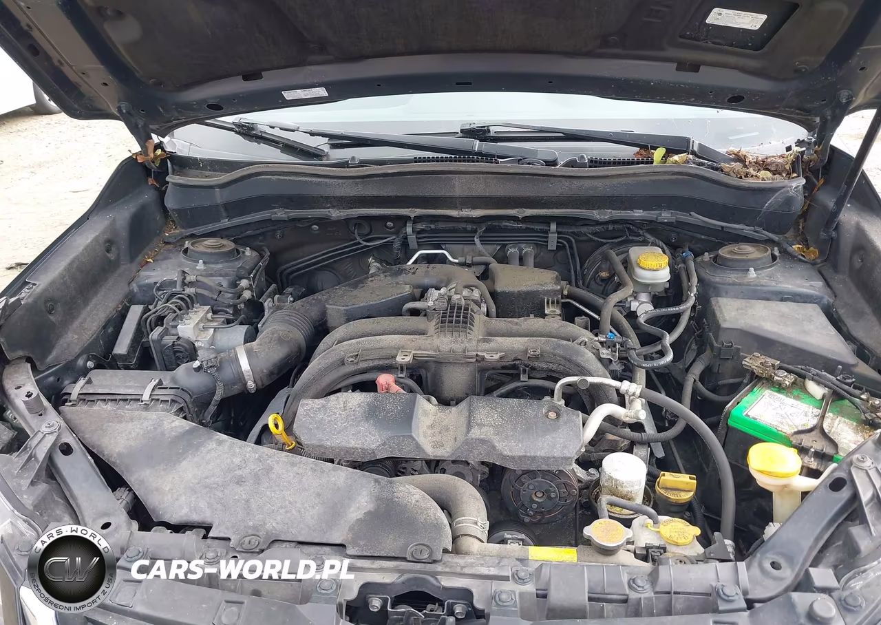 2017 Subaru Forester 2.5I Premium VIN:JF2SJAGCXHH506509 - 10