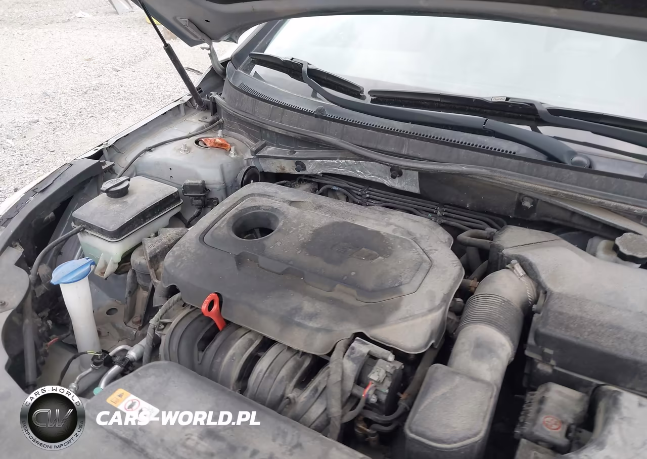 2015 Hyundai Sonata Se VIN:5NPE24AF2FH238034 - 10