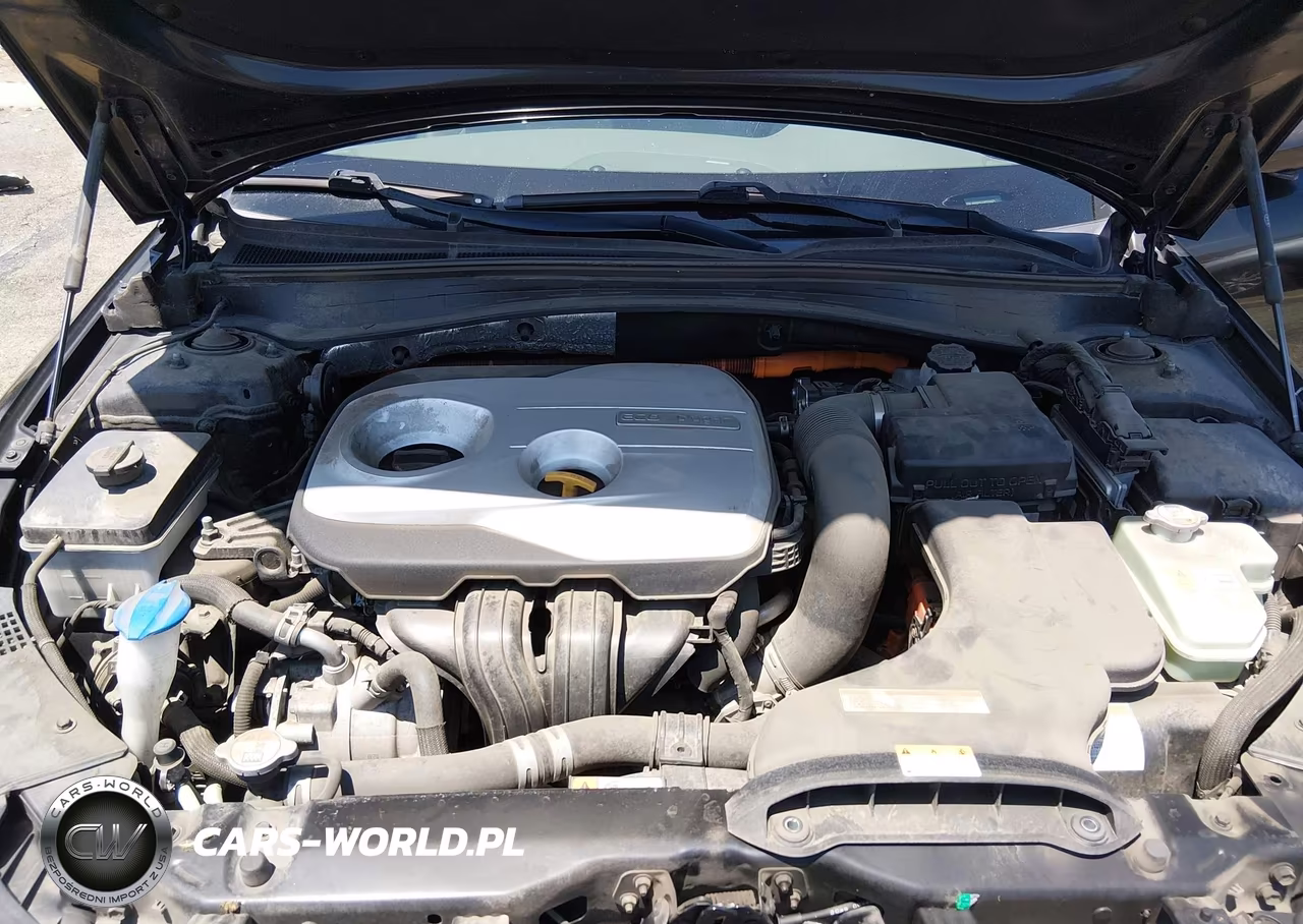 2017 Kia Optima Plug-In Hybrid Ex VIN:KNAGV4LD3H5009471 - 10