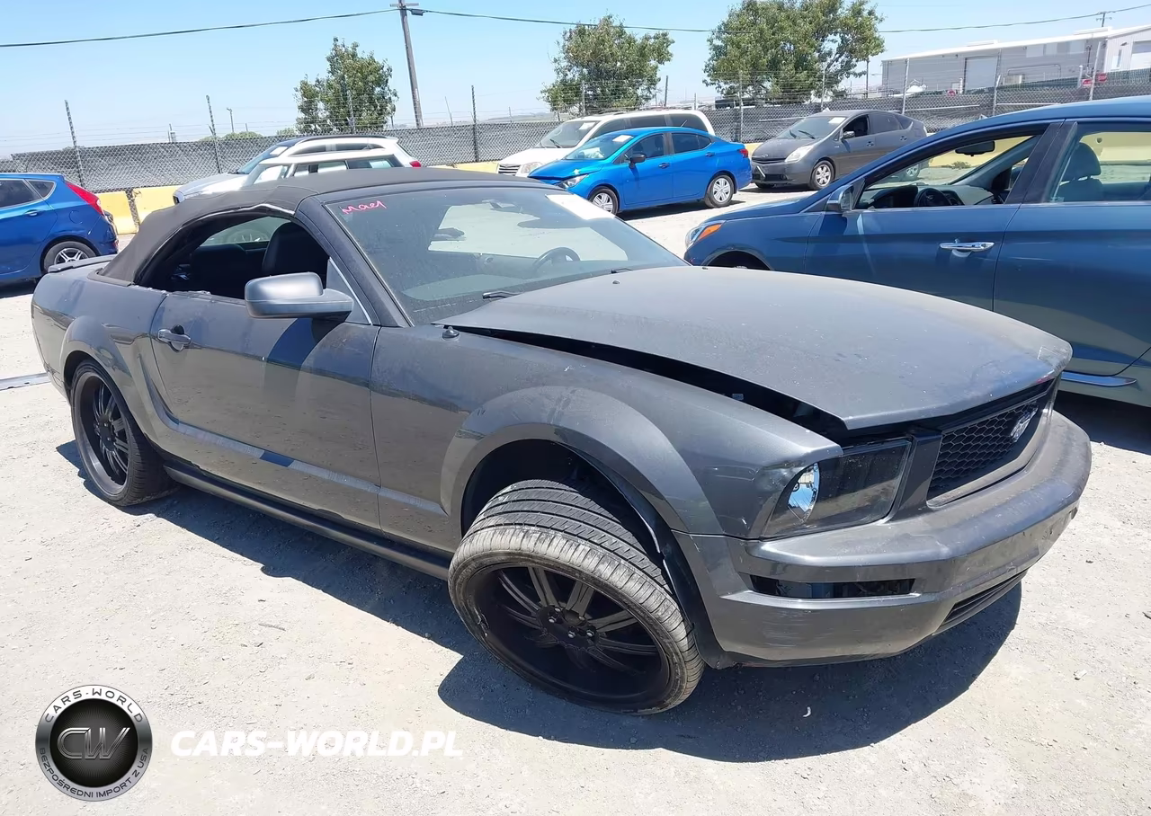 2007 Ford Mustang V6 Deluxe-V6 Premium VIN:1ZVFT84N075355069 - 1