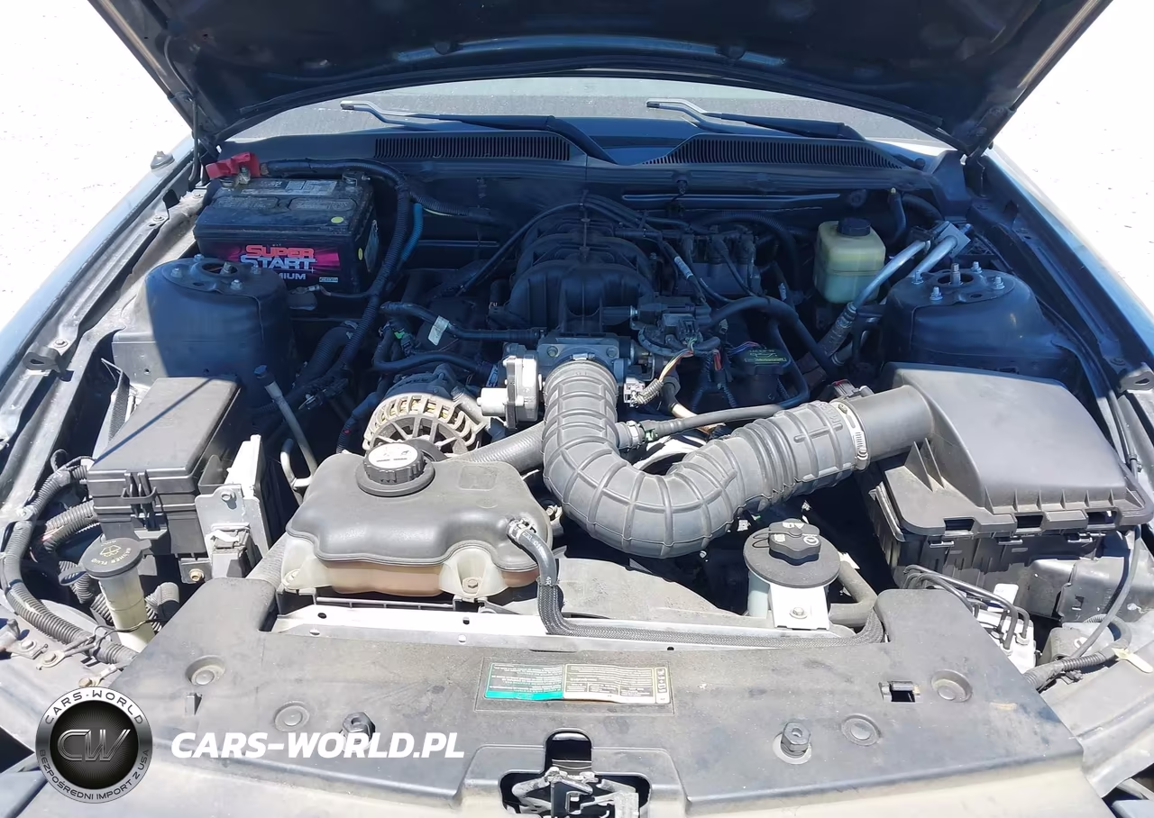 2007 Ford Mustang V6 Deluxe-V6 Premium VIN:1ZVFT84N075355069 - 10