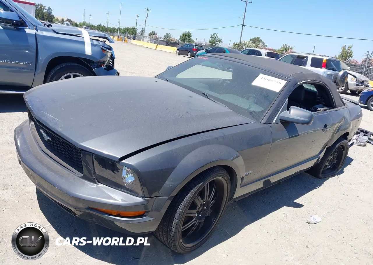 2007 Ford Mustang V6 Deluxe-V6 Premium VIN:1ZVFT84N075355069 - 2
