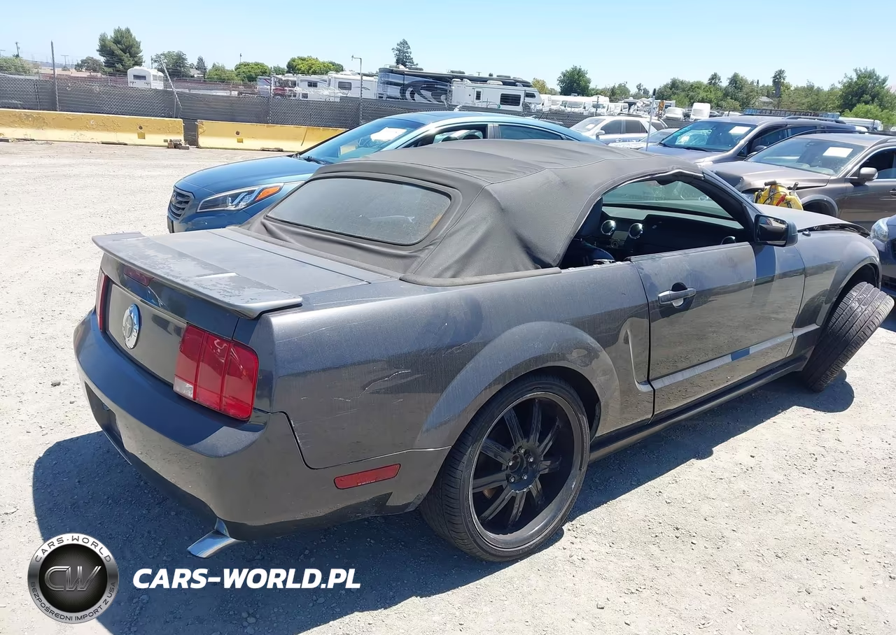 2007 Ford Mustang V6 Deluxe-V6 Premium VIN:1ZVFT84N075355069 - 4