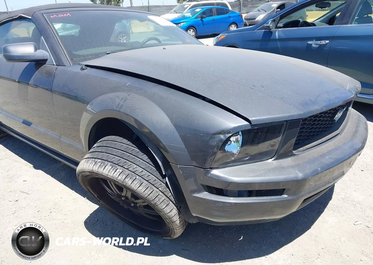 2007 Ford Mustang V6 Deluxe-V6 Premium VIN:1ZVFT84N075355069 - 6