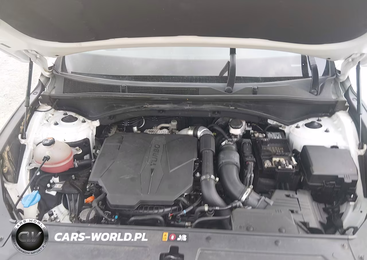 2023 Hyundai Santa Fe Limited VIN:5NMS44AL1PH525687 - 10