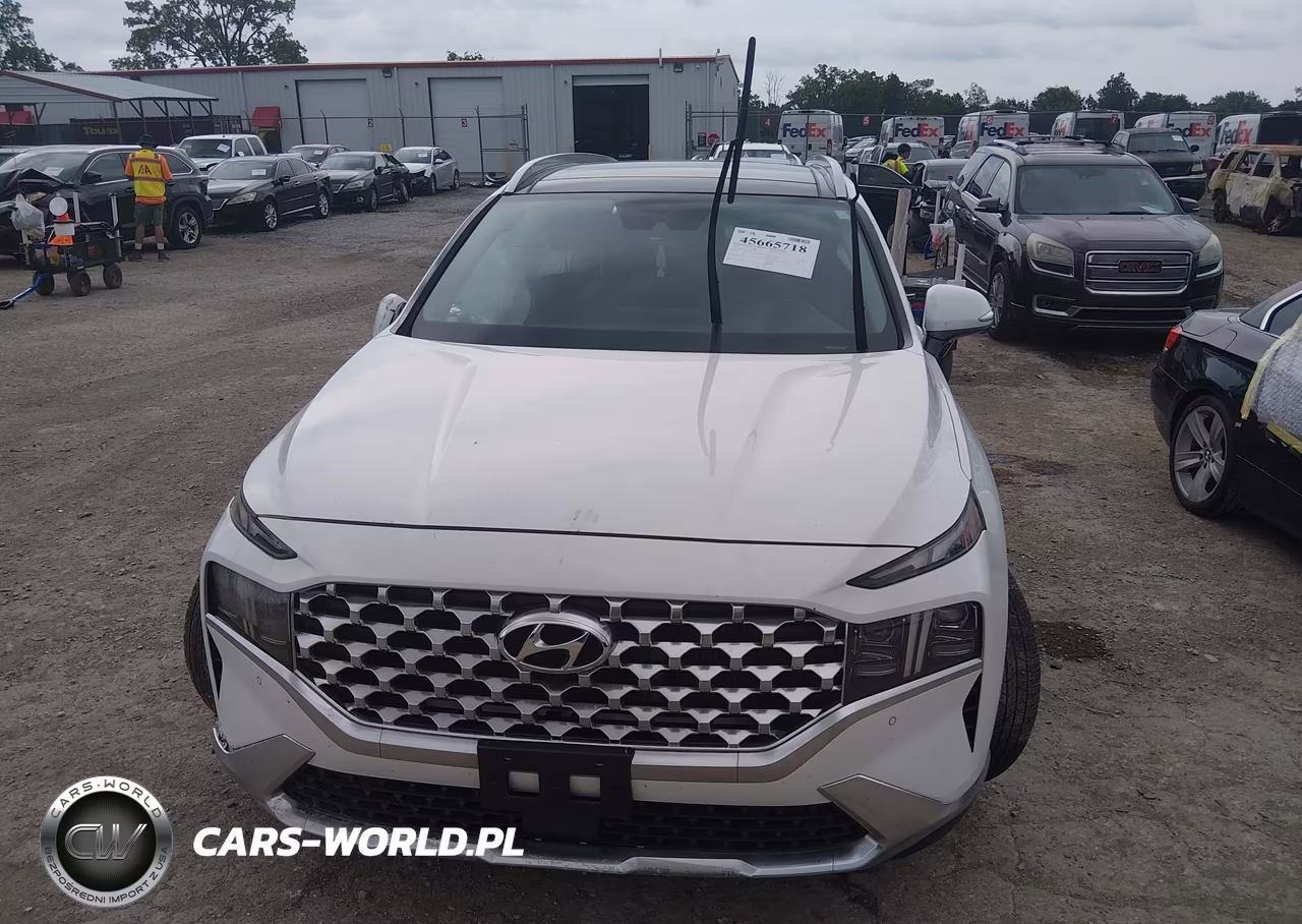 2023 Hyundai Santa Fe Limited VIN:5NMS44AL1PH525687 - 12