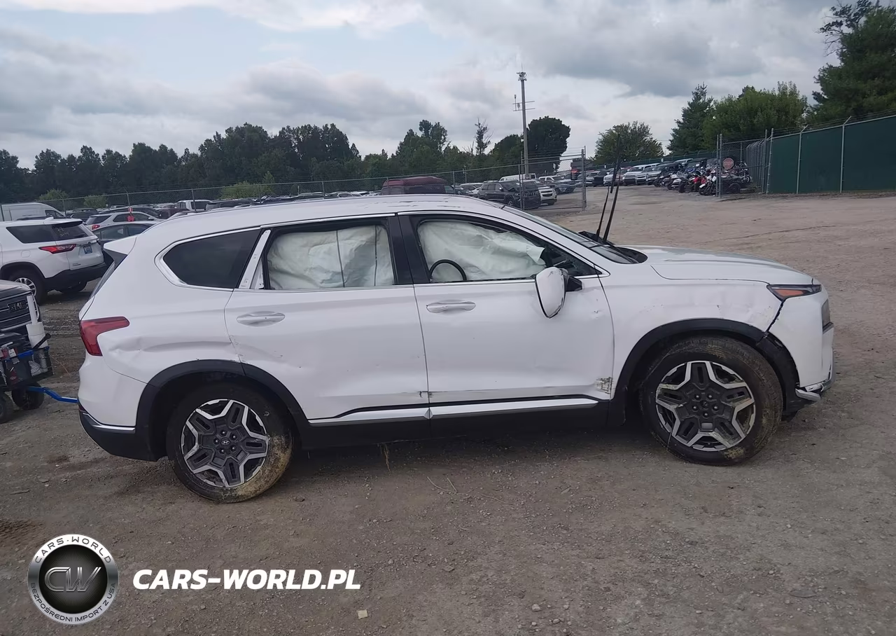 2023 Hyundai Santa Fe Limited VIN:5NMS44AL1PH525687 - 13