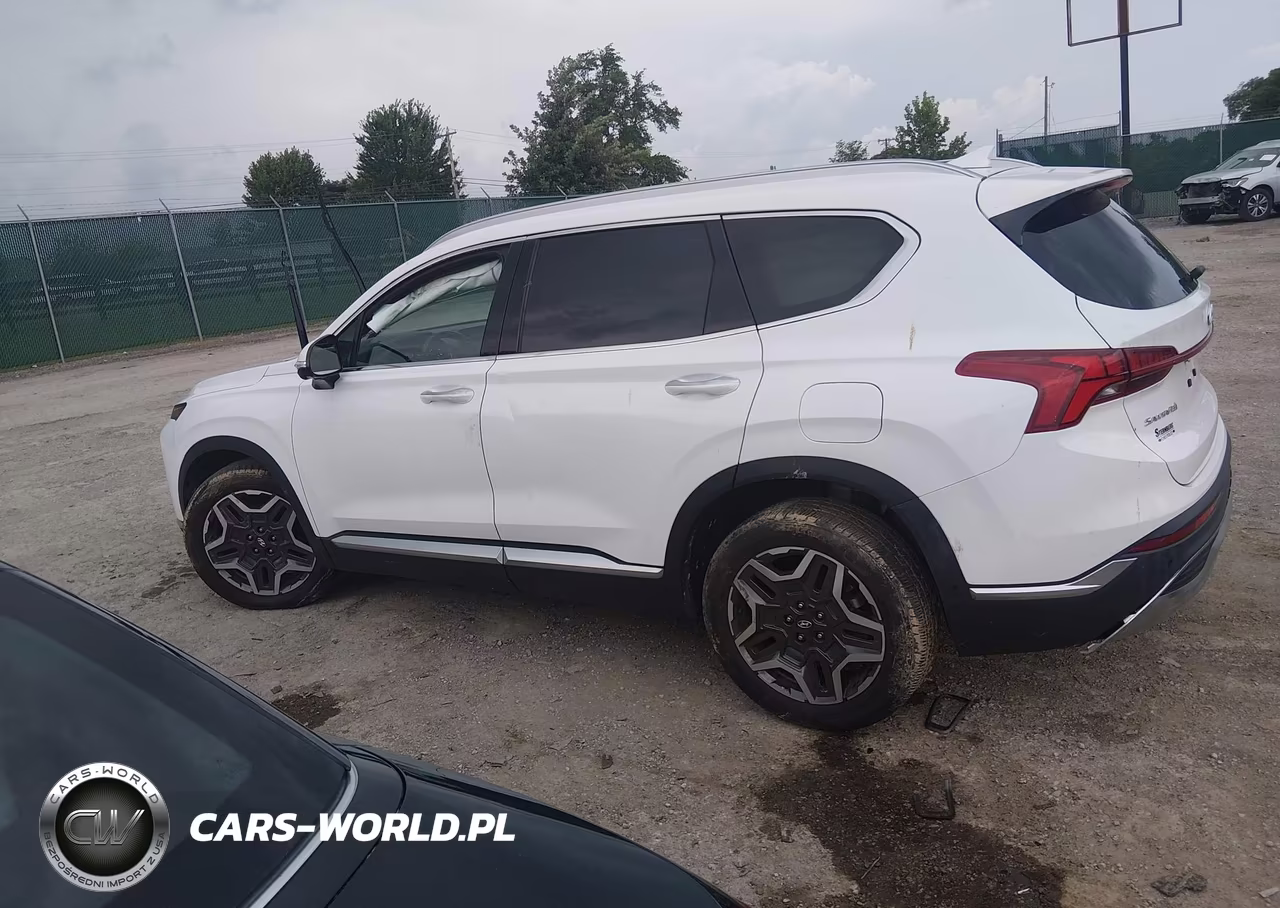 2023 Hyundai Santa Fe Limited VIN:5NMS44AL1PH525687 - 14