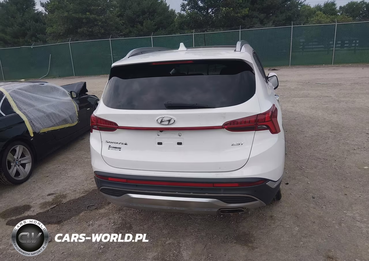 2023 Hyundai Santa Fe Limited VIN:5NMS44AL1PH525687 - 16