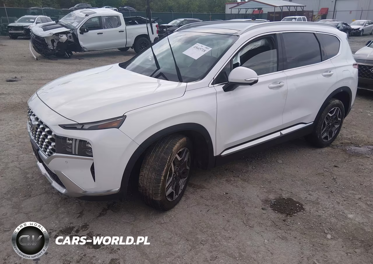 2023 Hyundai Santa Fe Limited VIN:5NMS44AL1PH525687 - 2