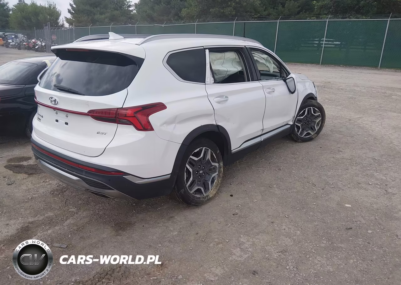 2023 Hyundai Santa Fe Limited VIN:5NMS44AL1PH525687 - 4