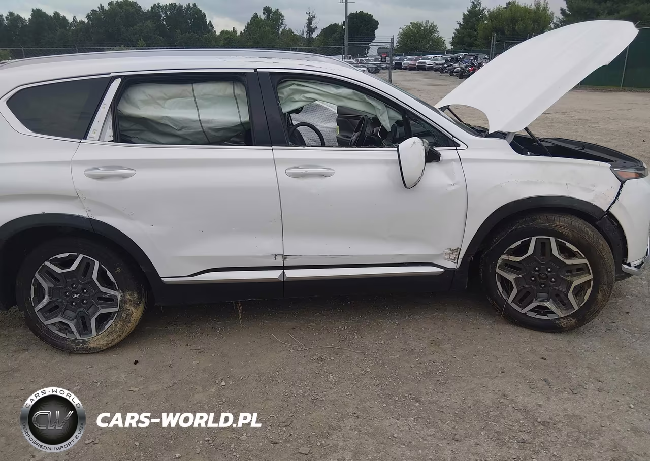 2023 Hyundai Santa Fe Limited VIN:5NMS44AL1PH525687 - 6