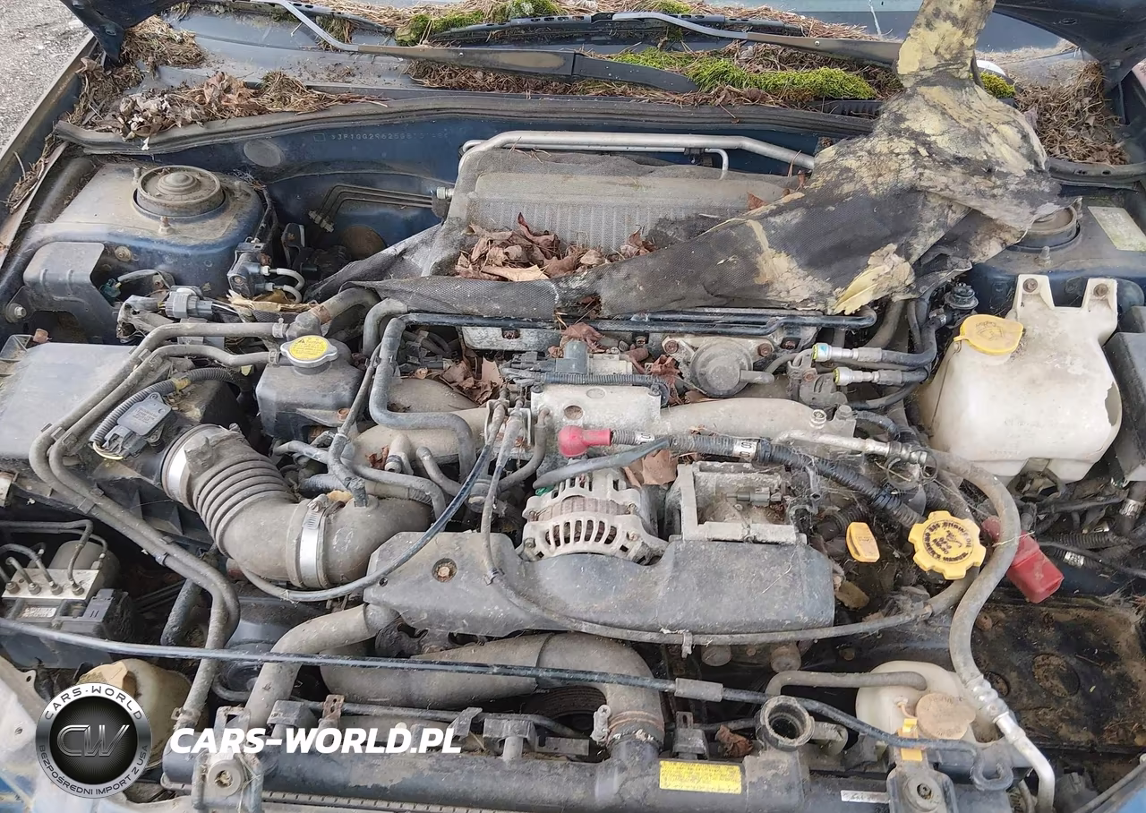 2005 Subaru Impreza Wrx VIN:JF1GG29625G810148 - 10