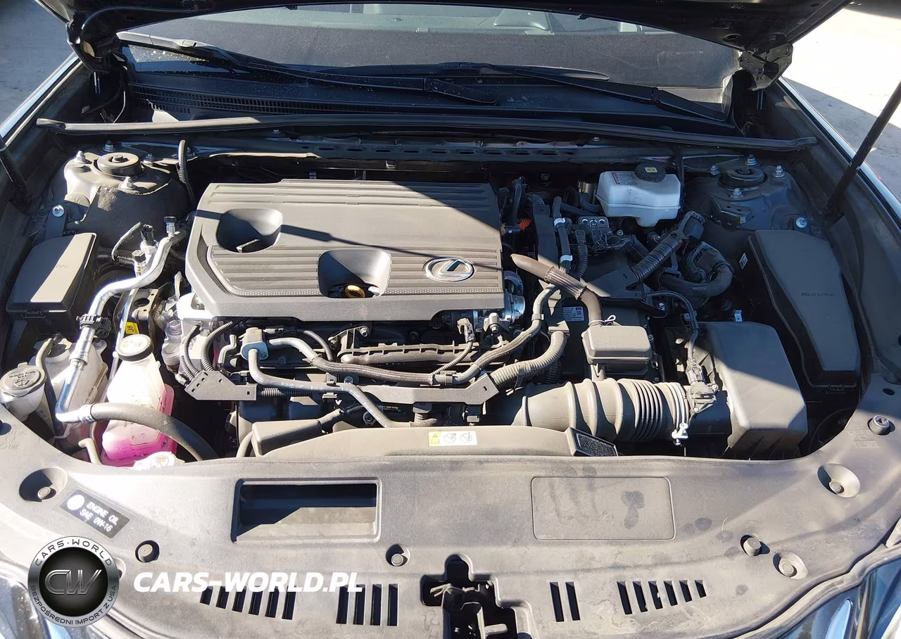 2025 Lexus Es 300H VIN:58ADA1C14SU066981 - 10