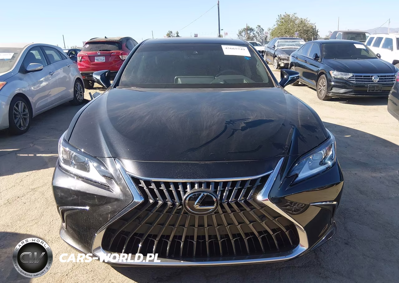 2025 Lexus Es 300H VIN:58ADA1C14SU066981 - 12