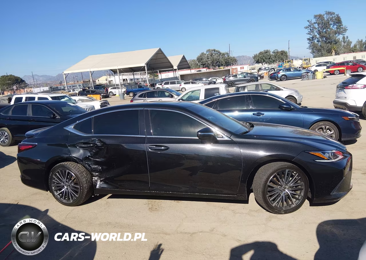 2025 Lexus Es 300H VIN:58ADA1C14SU066981 - 13