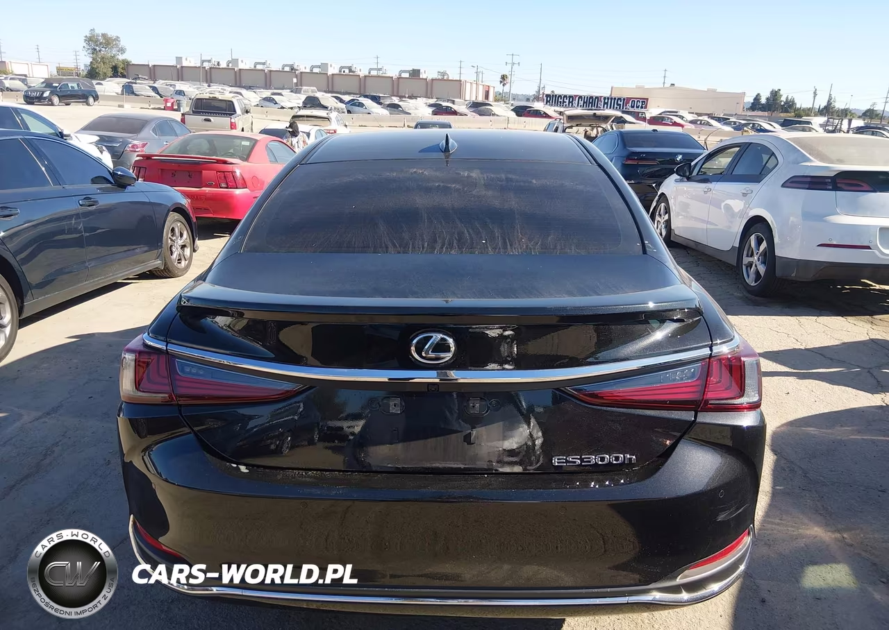 2025 Lexus Es 300H VIN:58ADA1C14SU066981 - 16