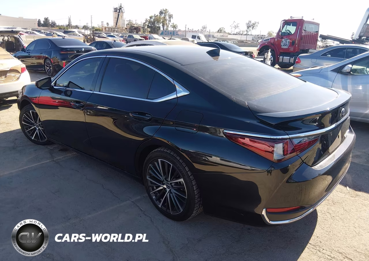 2025 Lexus Es 300H VIN:58ADA1C14SU066981 - 3