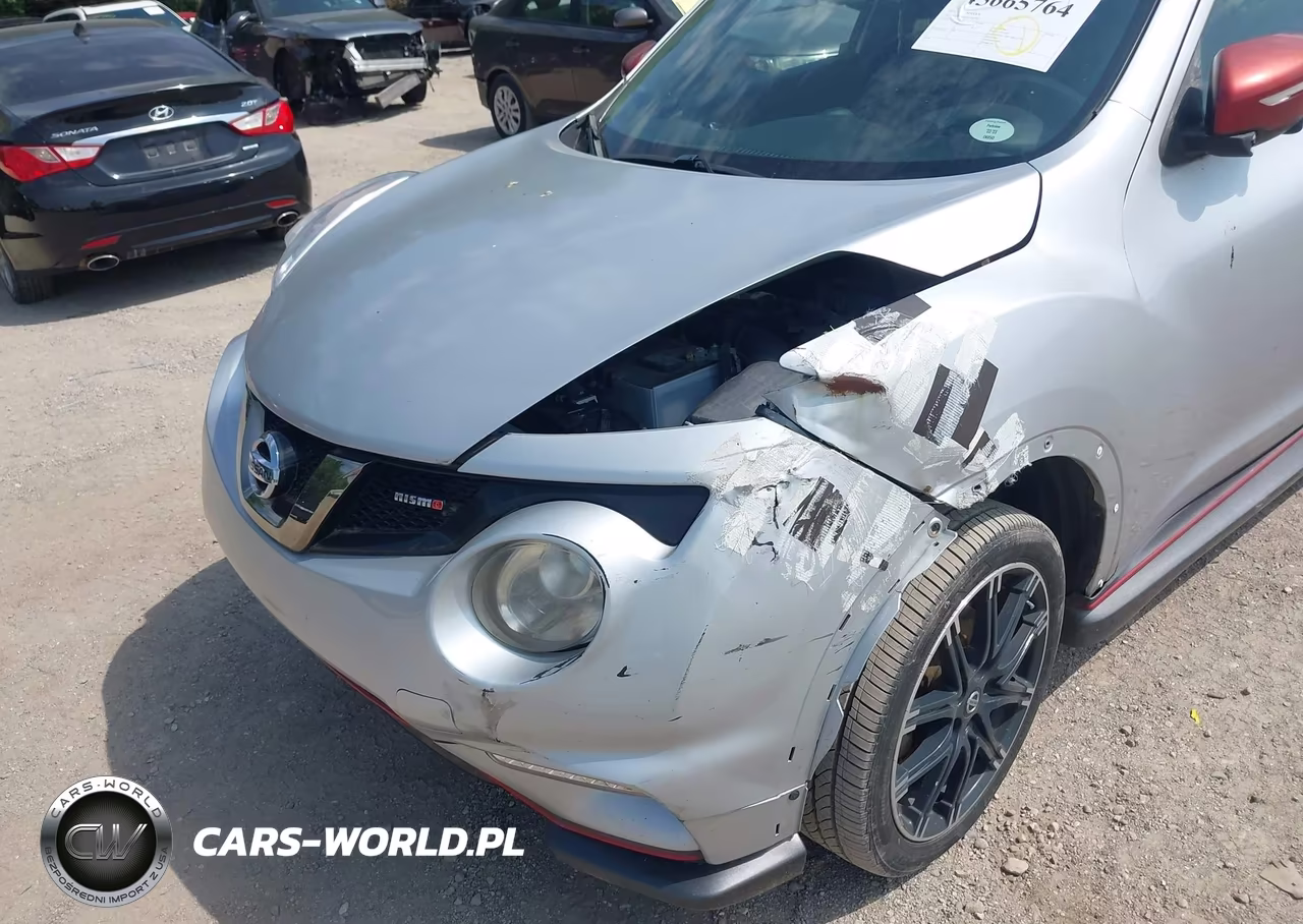 2015 Nissan Juke Nismo VIN:JN8AF5MV2FT560782 - 18