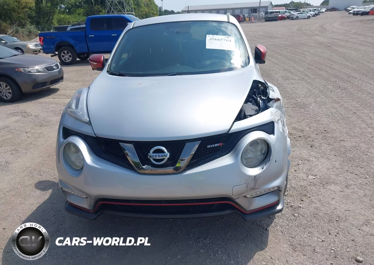 2015 Nissan Juke Nismo VIN:JN8AF5MV2FT560782 - 6