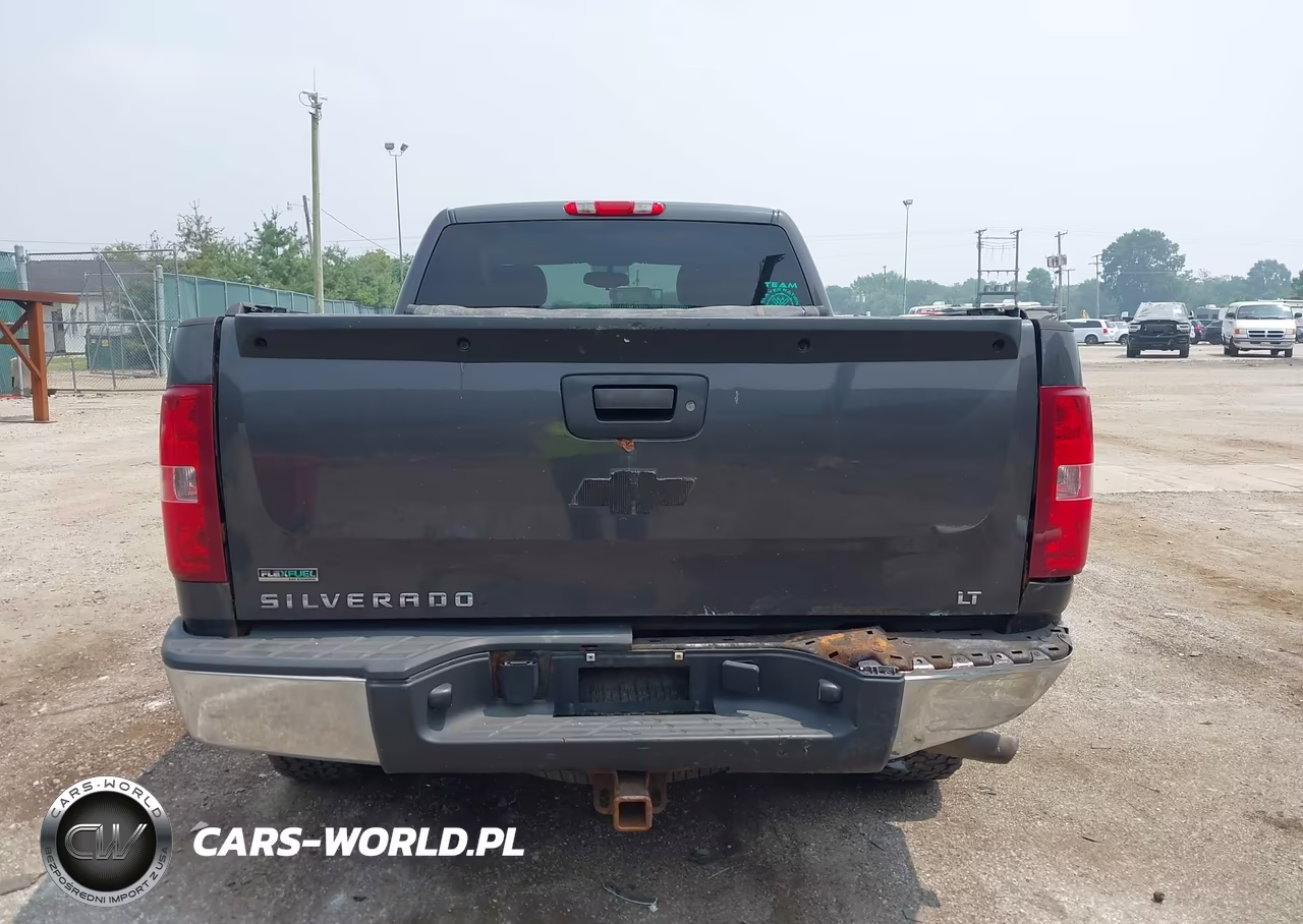 2010 Chevrolet Silverado 1500 Lt VIN:1GCSKSE32AZ295276 - 16