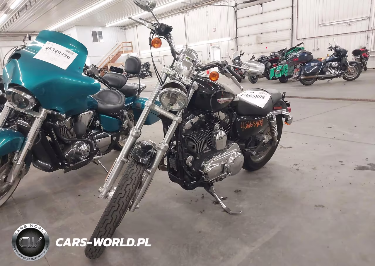 2009 Harley-Davidson Xl1200 C VIN:1HD1CT3139K450629 - 2