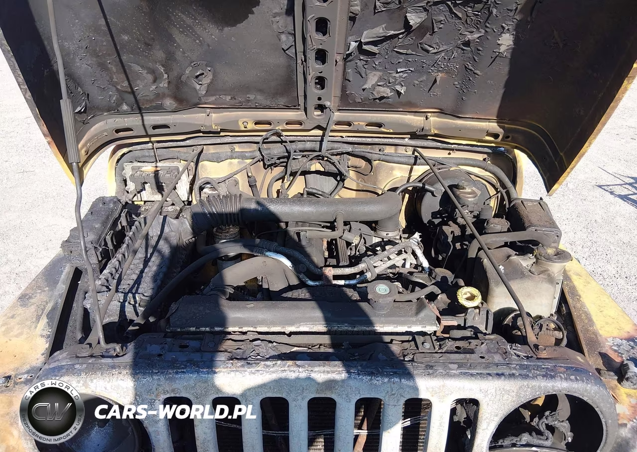2001 Jeep Wrangler Sport VIN:1J4FA49S21P334102 - 10