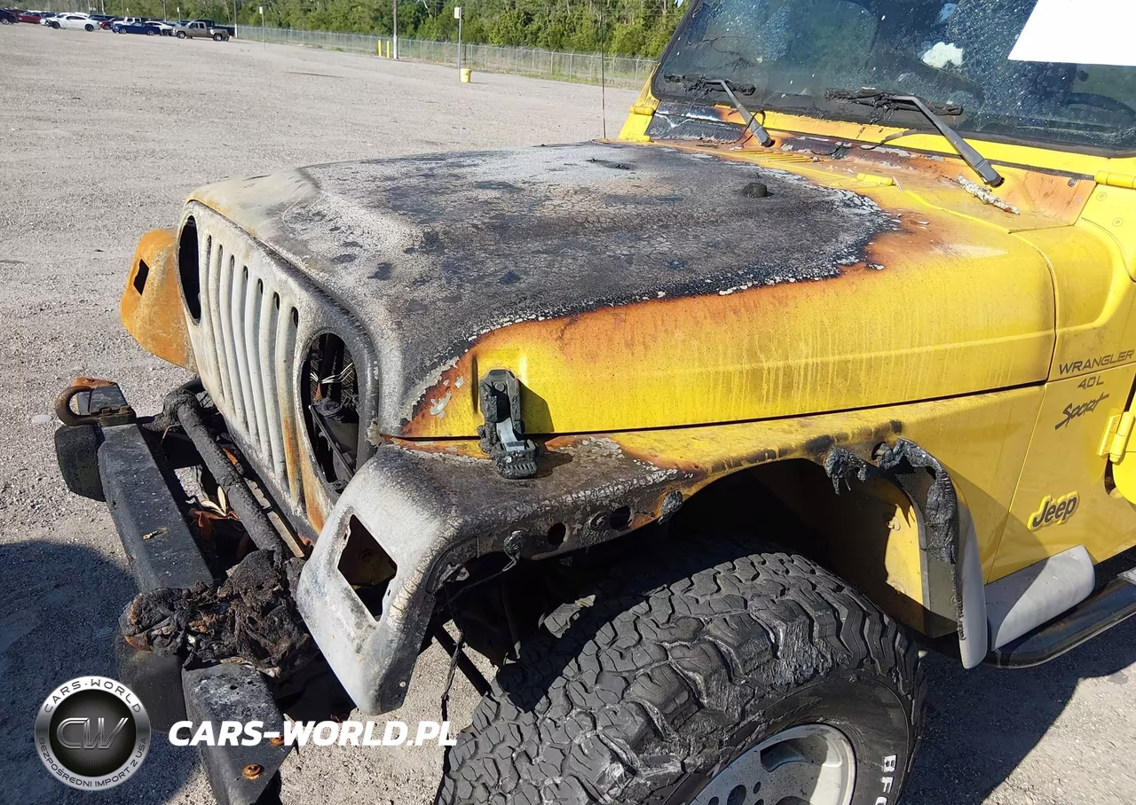 2001 Jeep Wrangler Sport VIN:1J4FA49S21P334102 - 11