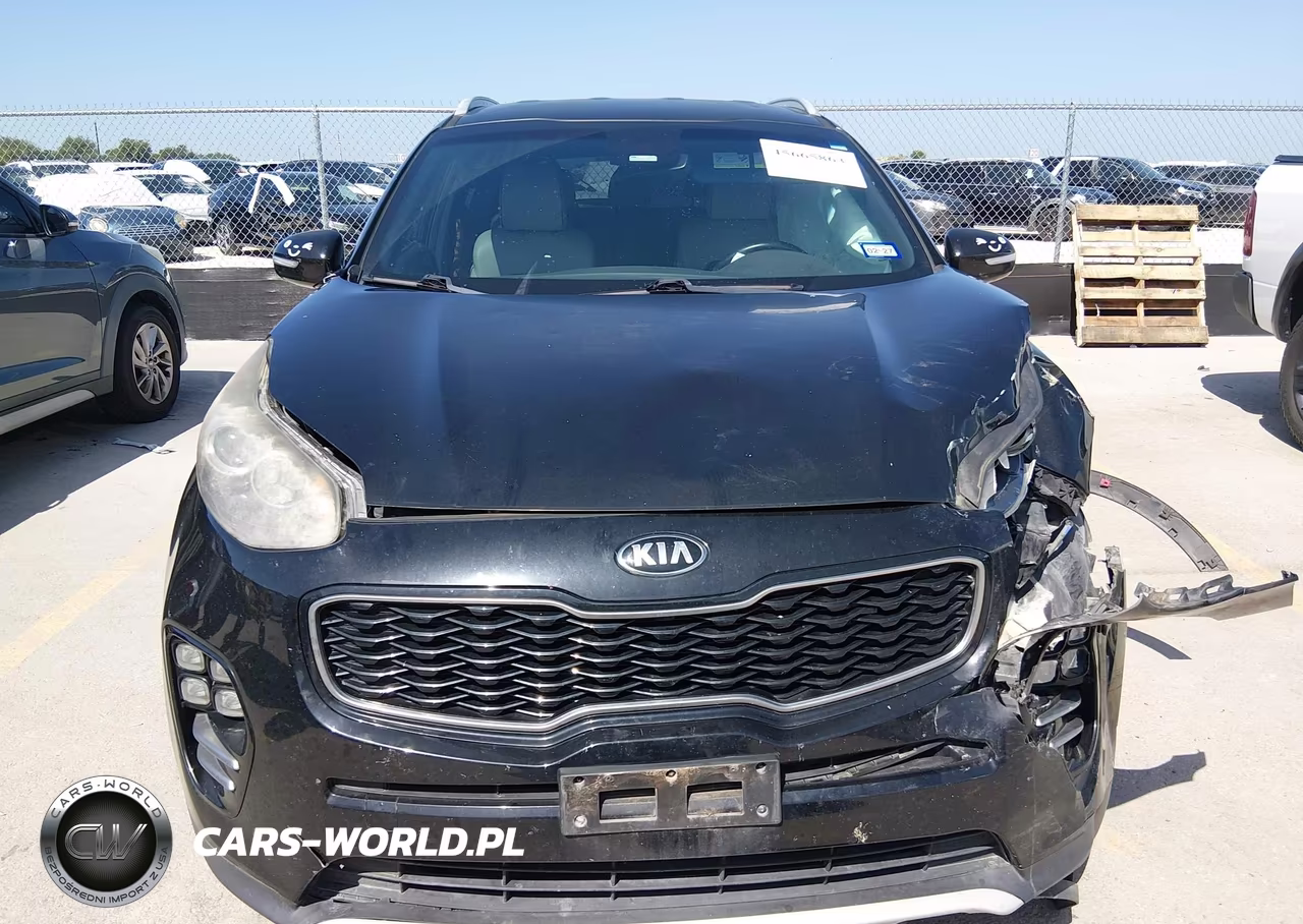 2019 Kia Sportage Ex VIN:KNDPN3AC1K7569864 - 12