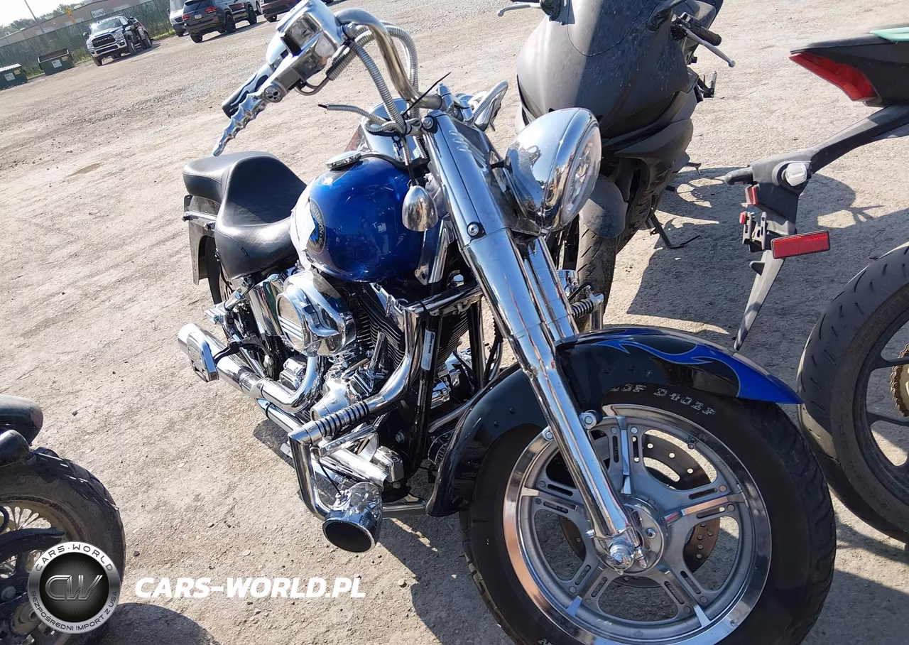 2004 Harley-Davidson Flstf