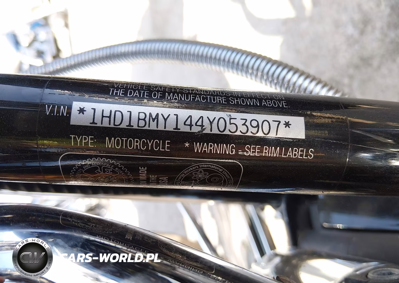 2004 Harley-Davidson Flstf VIN:1HD1BMY144Y053907 - 10
