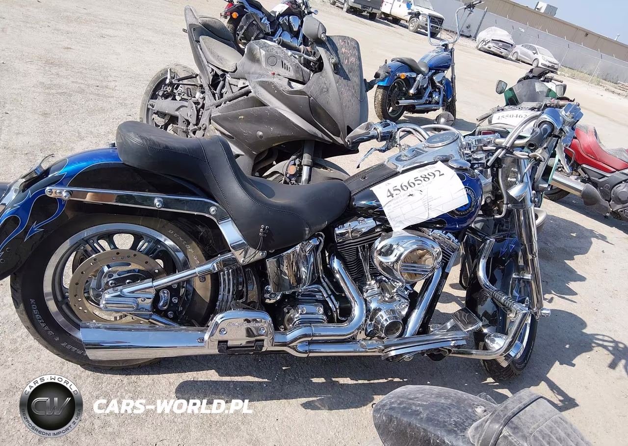 2004 Harley-Davidson Flstf VIN:1HD1BMY144Y053907 - 12