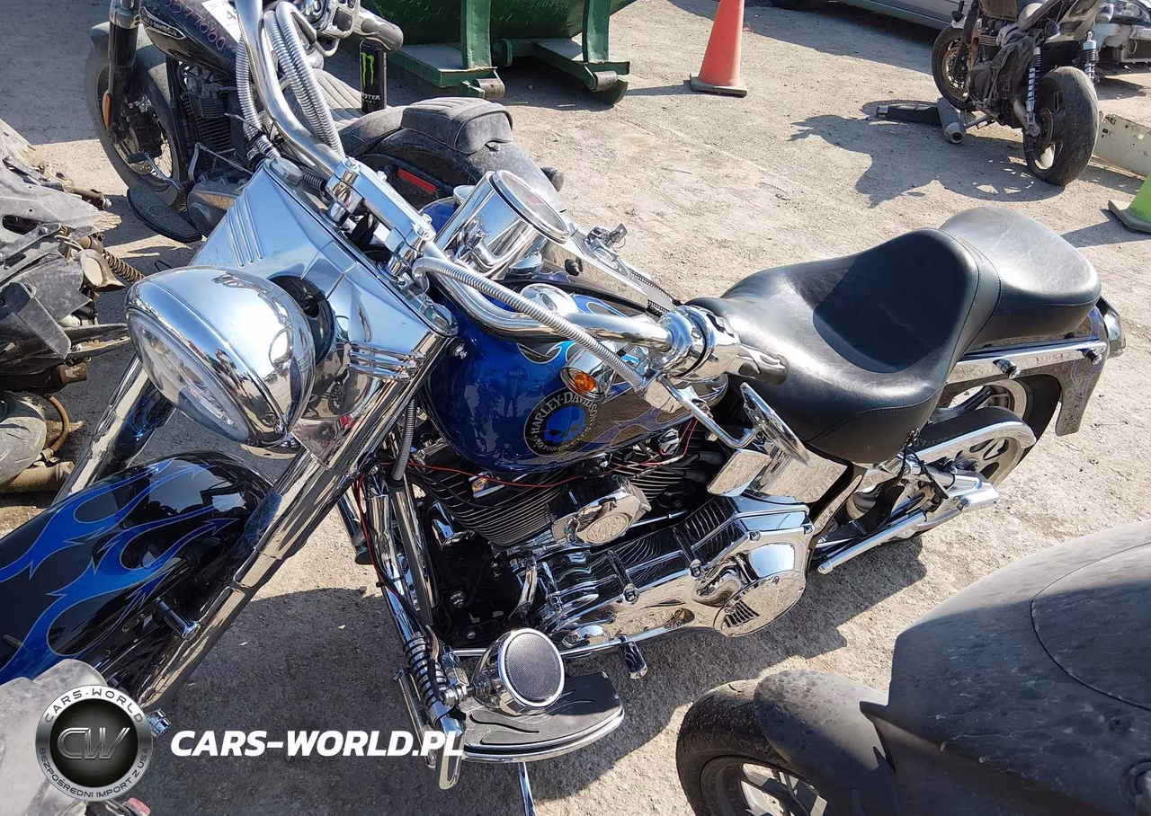 2004 Harley-Davidson Flstf VIN:1HD1BMY144Y053907 - 2