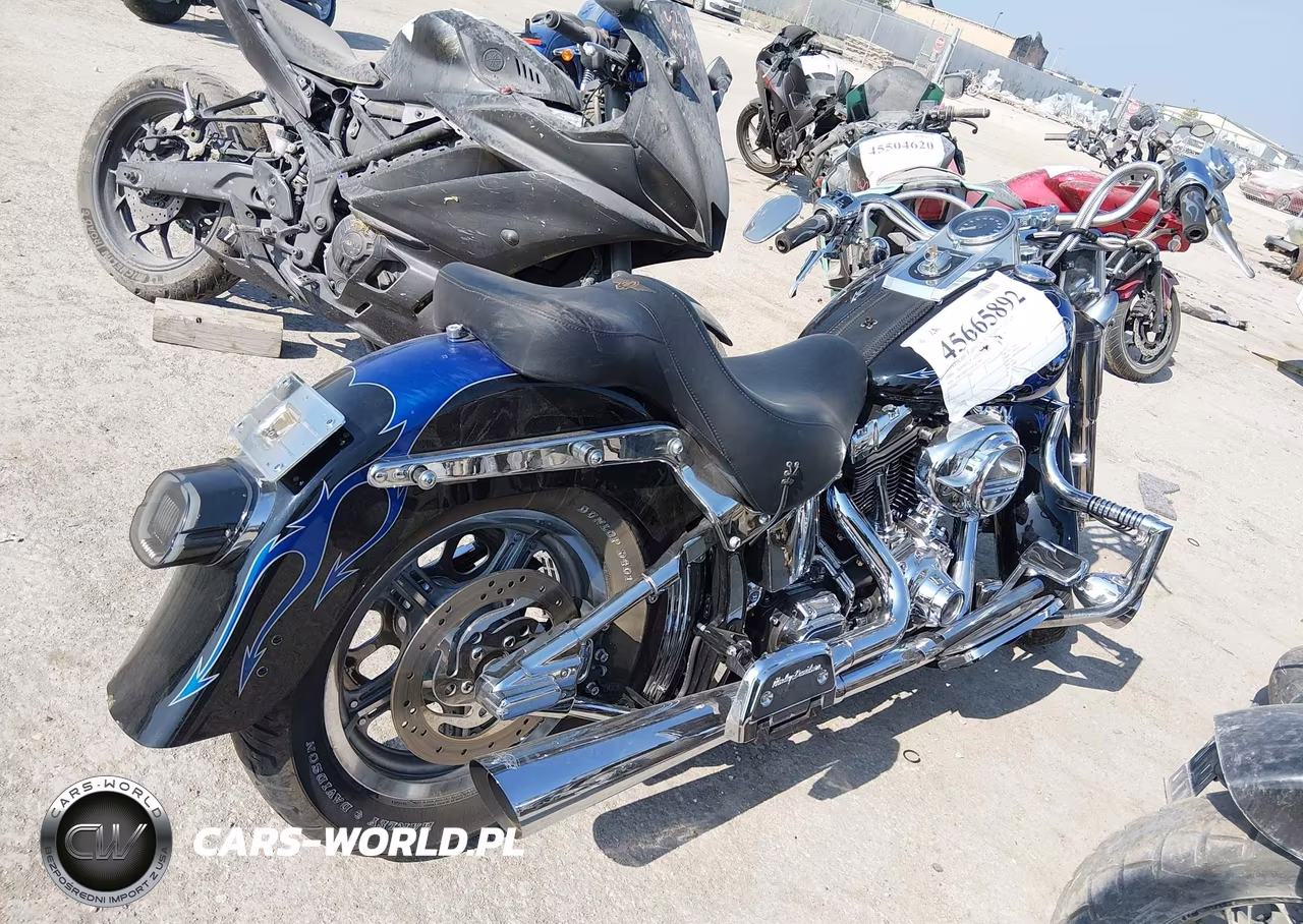 2004 Harley-Davidson Flstf VIN:1HD1BMY144Y053907 - 4