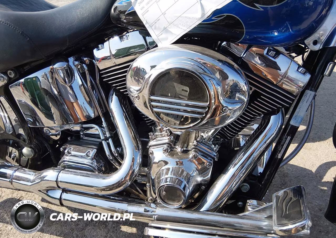 2004 Harley-Davidson Flstf VIN:1HD1BMY144Y053907 - 8