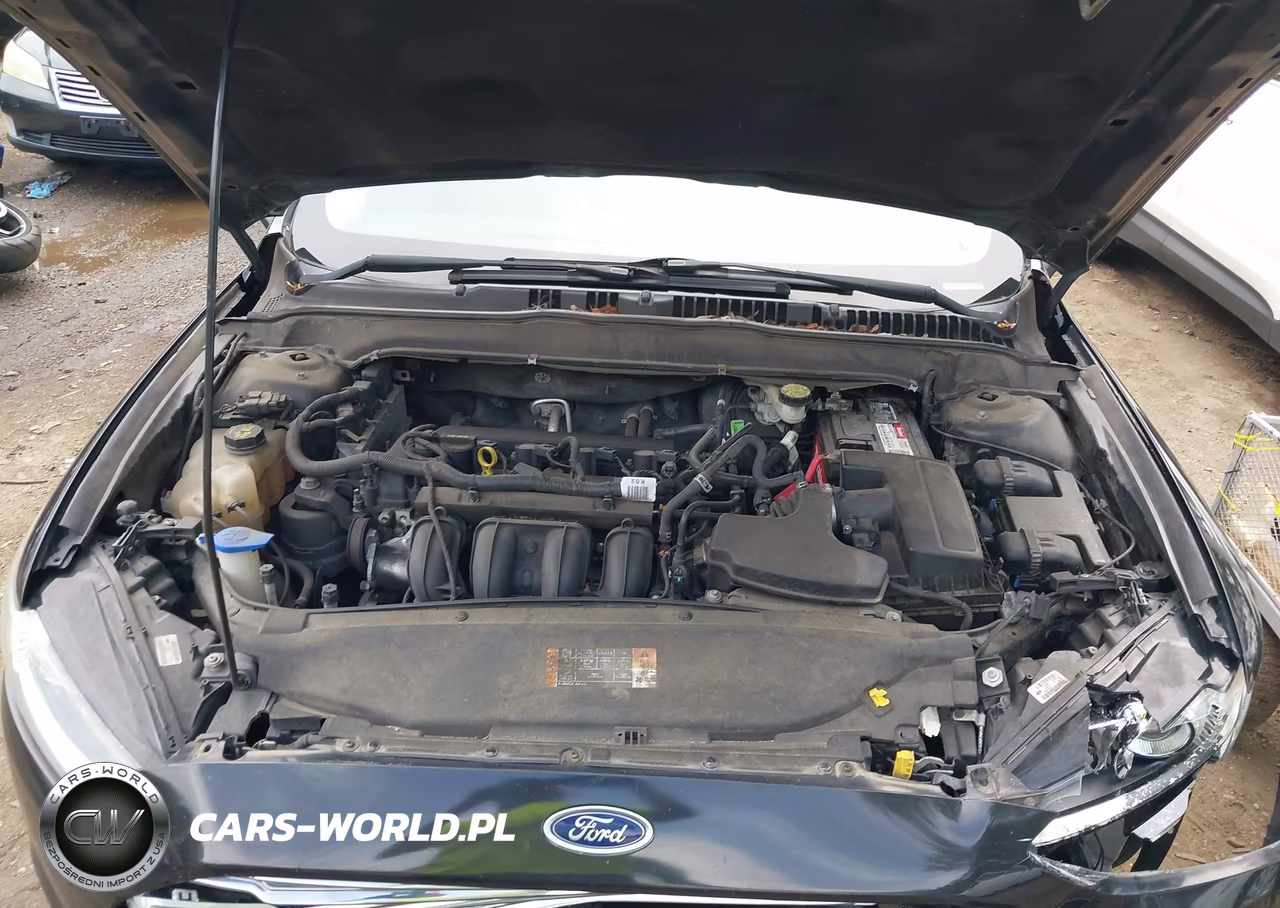 2014 Ford Fusion S VIN:3FA6P0G71ER365289 - 10