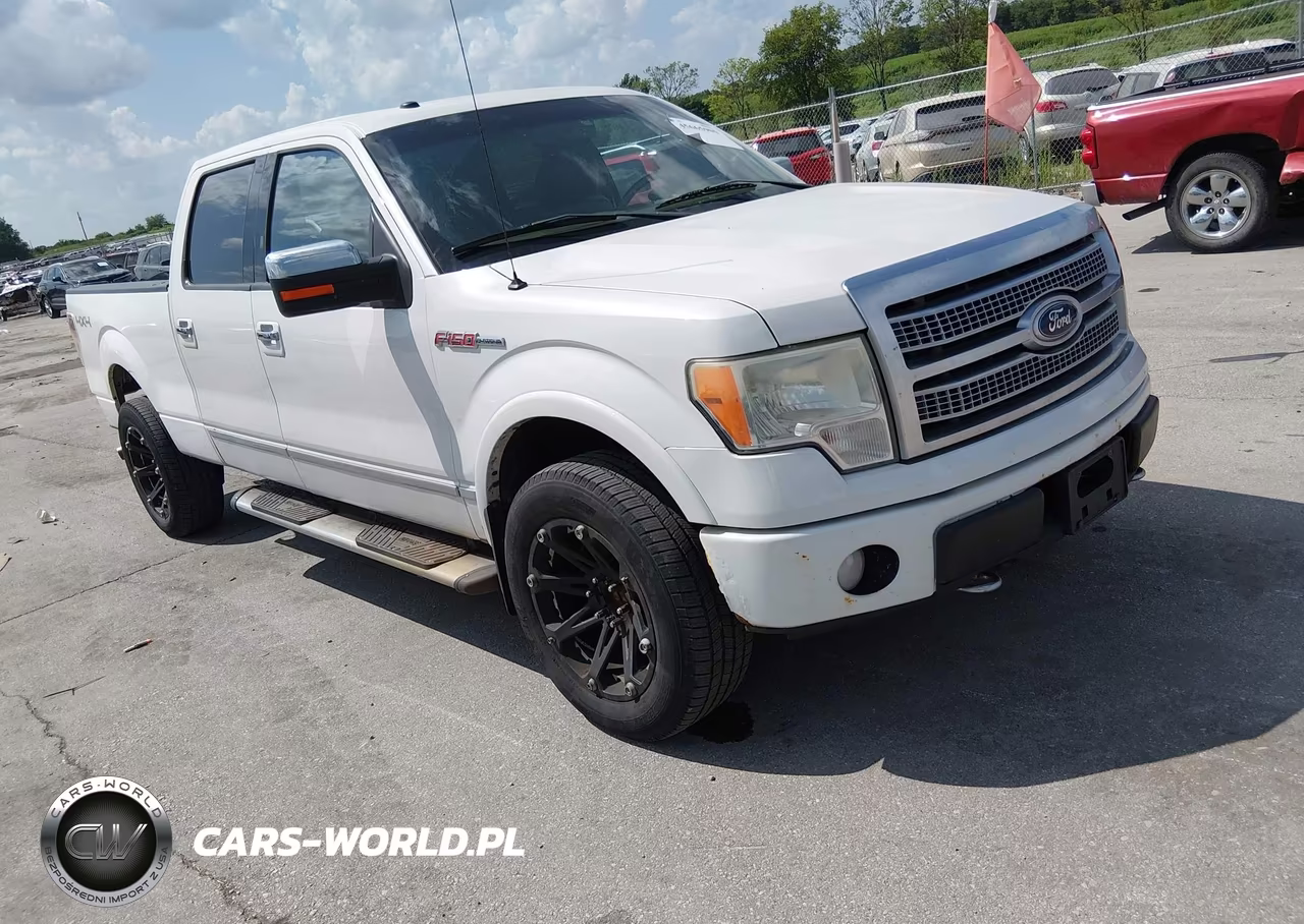 2010 Ford F-150 Platinum VIN:1FTFW1EVXAFB79715 - 1