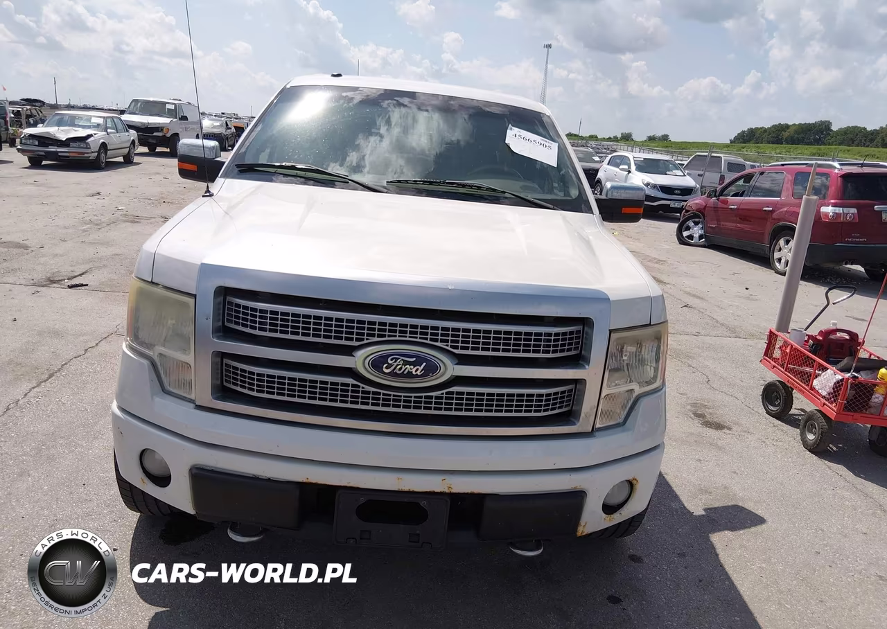 2010 Ford F-150 Platinum VIN:1FTFW1EVXAFB79715 - 12