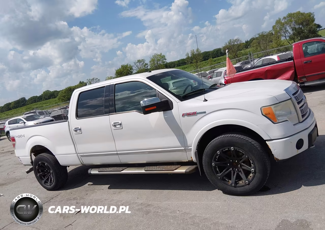 2010 Ford F-150 Platinum VIN:1FTFW1EVXAFB79715 - 13