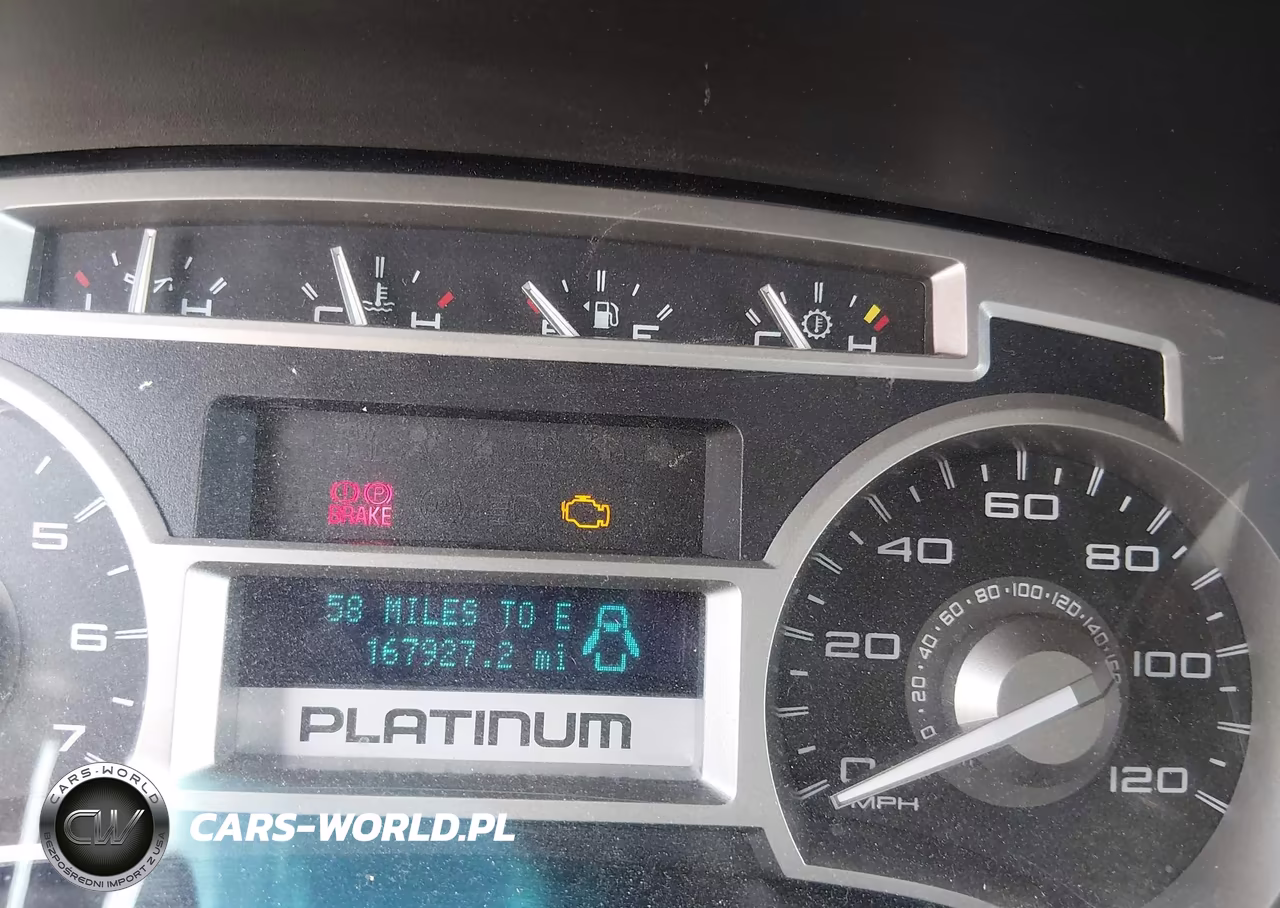 2010 Ford F-150 Platinum VIN:1FTFW1EVXAFB79715 - 15