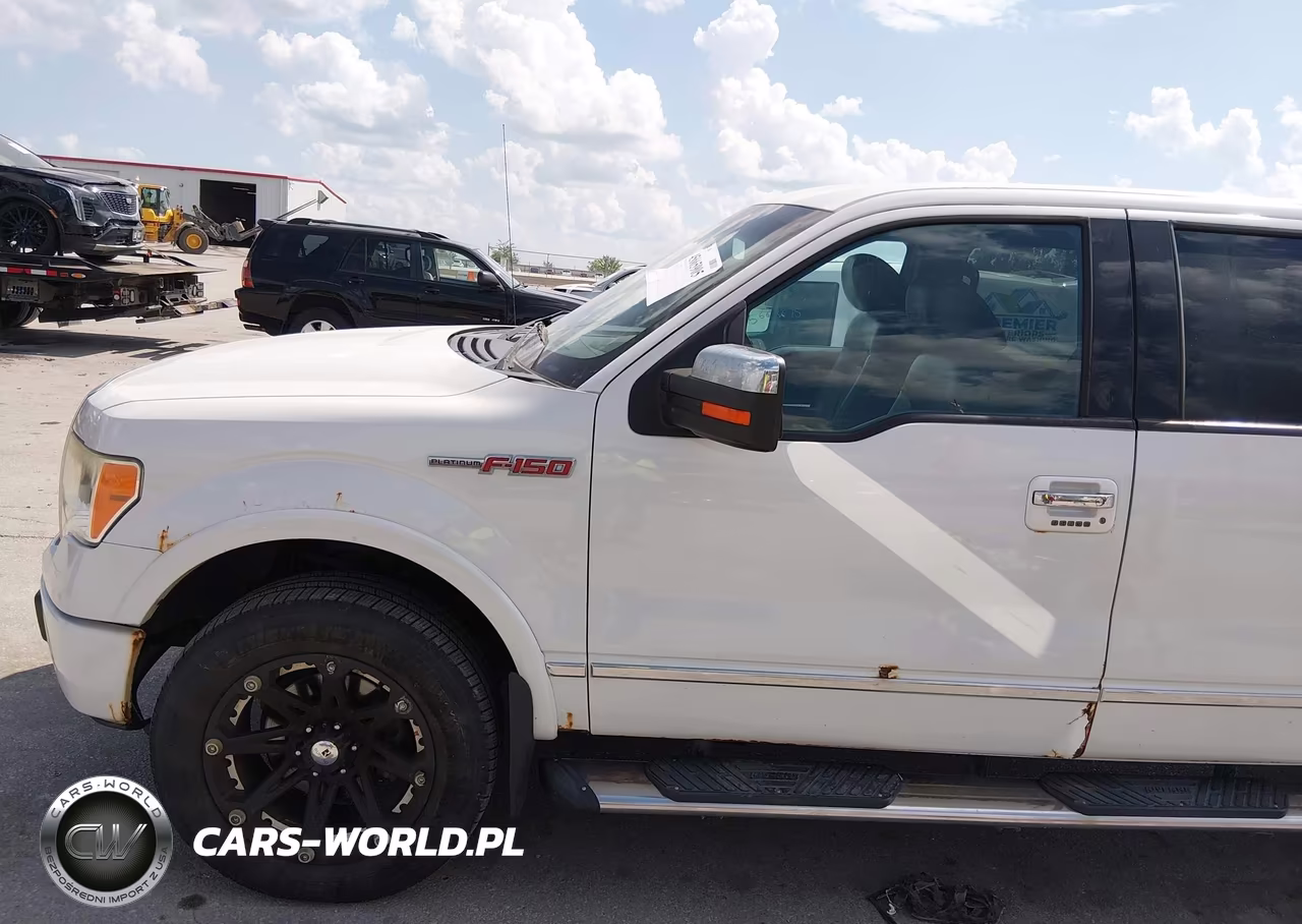 2010 Ford F-150 Platinum VIN:1FTFW1EVXAFB79715 - 17