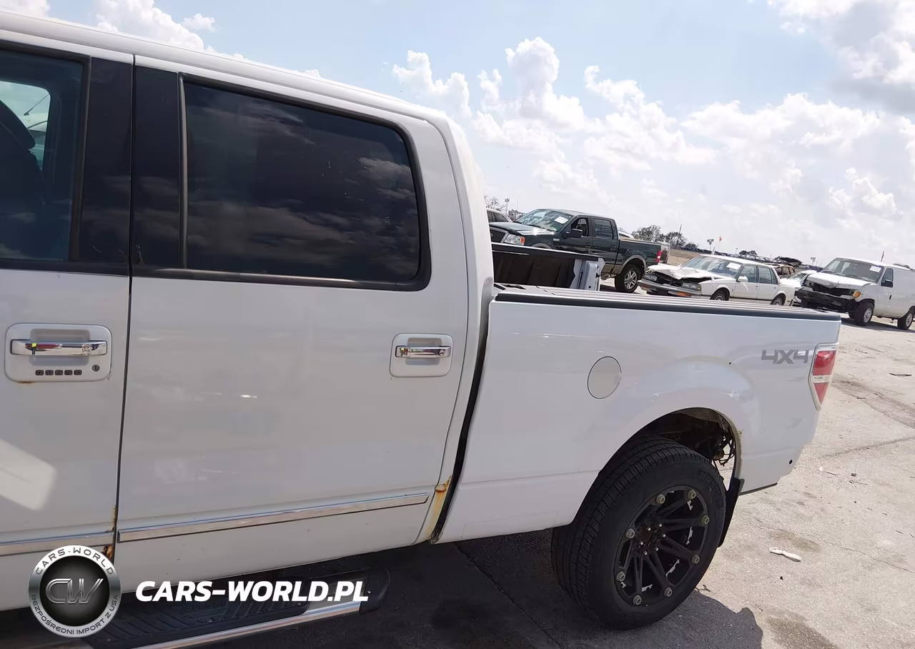 2010 Ford F-150 Platinum VIN:1FTFW1EVXAFB79715 - 18