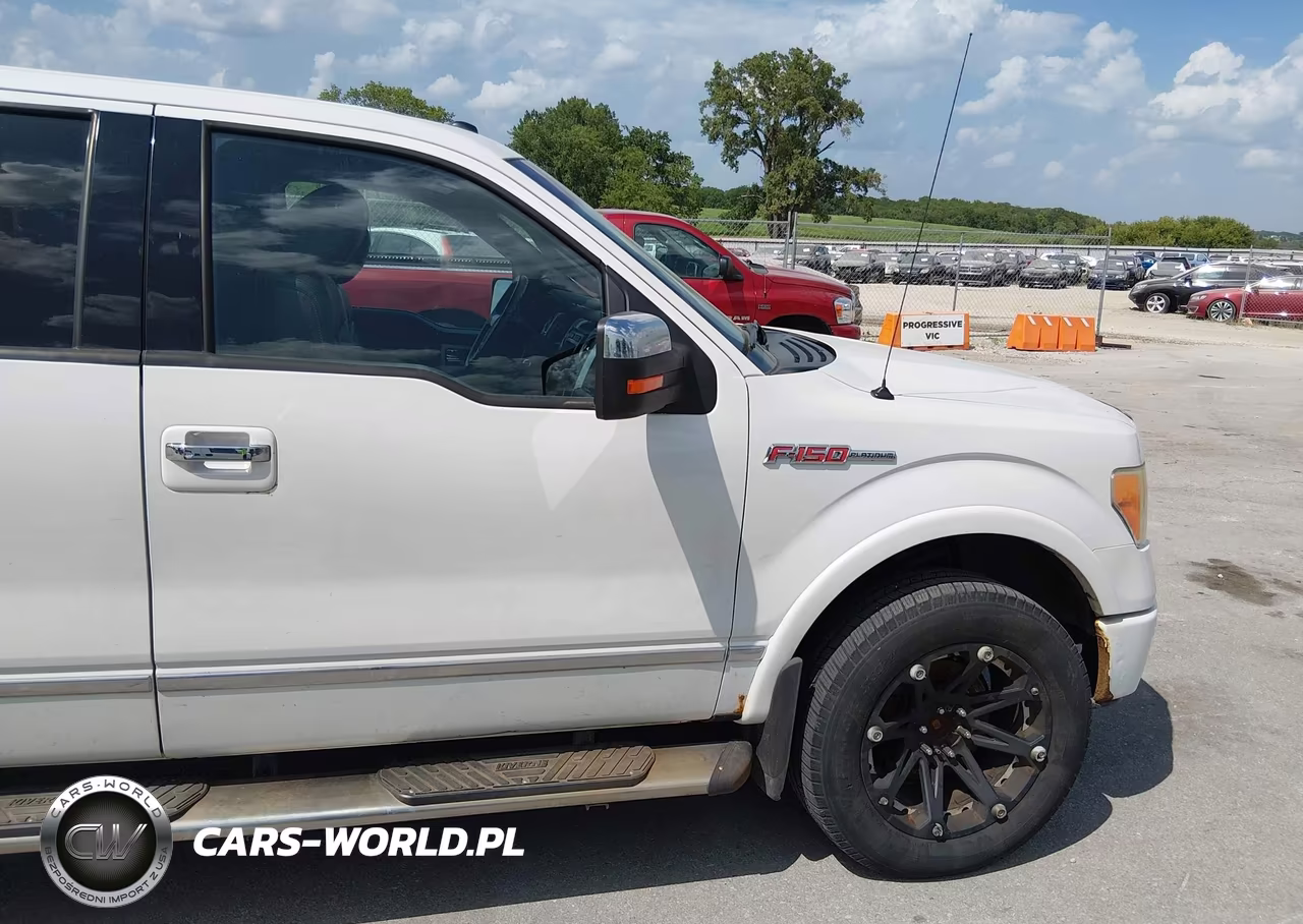 2010 Ford F-150 Platinum VIN:1FTFW1EVXAFB79715 - 19