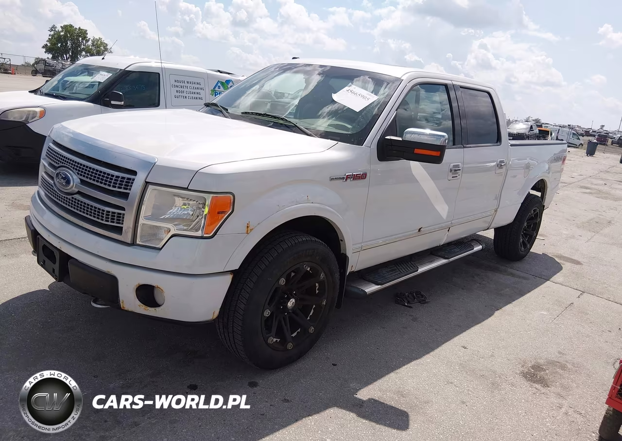 2010 Ford F-150 Platinum VIN:1FTFW1EVXAFB79715 - 2