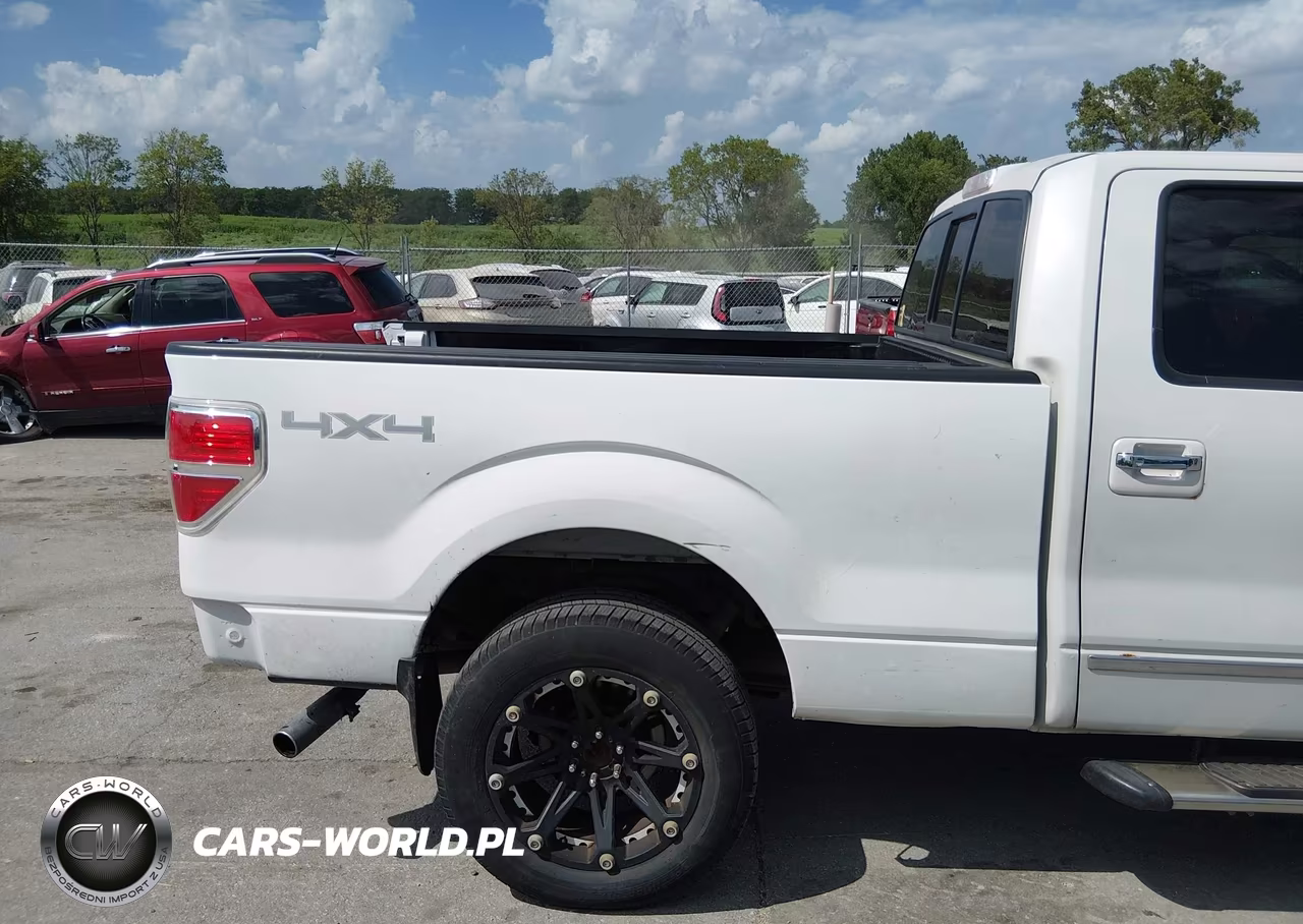 2010 Ford F-150 Platinum VIN:1FTFW1EVXAFB79715 - 20