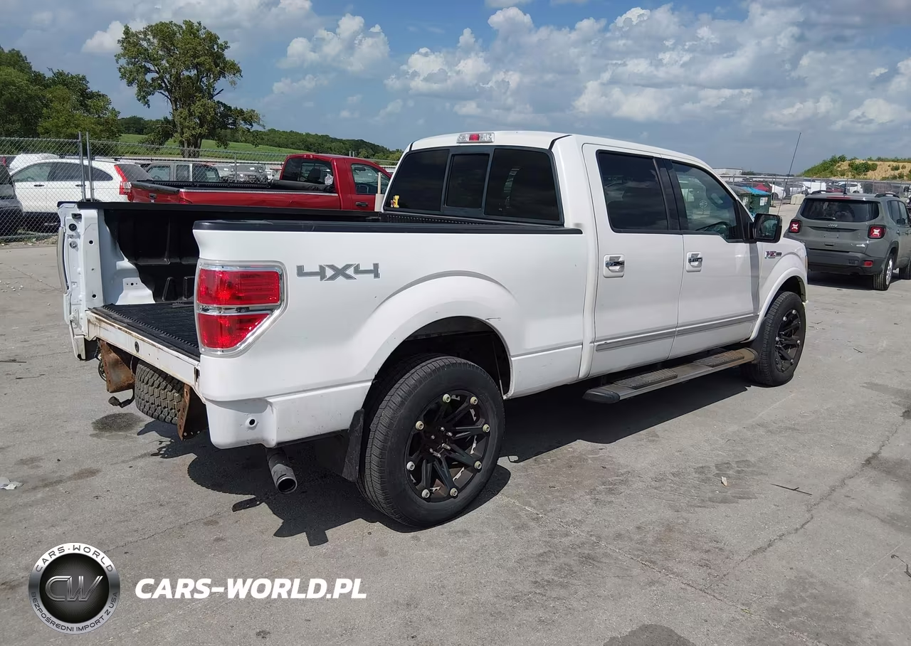 2010 Ford F-150 Platinum VIN:1FTFW1EVXAFB79715 - 4
