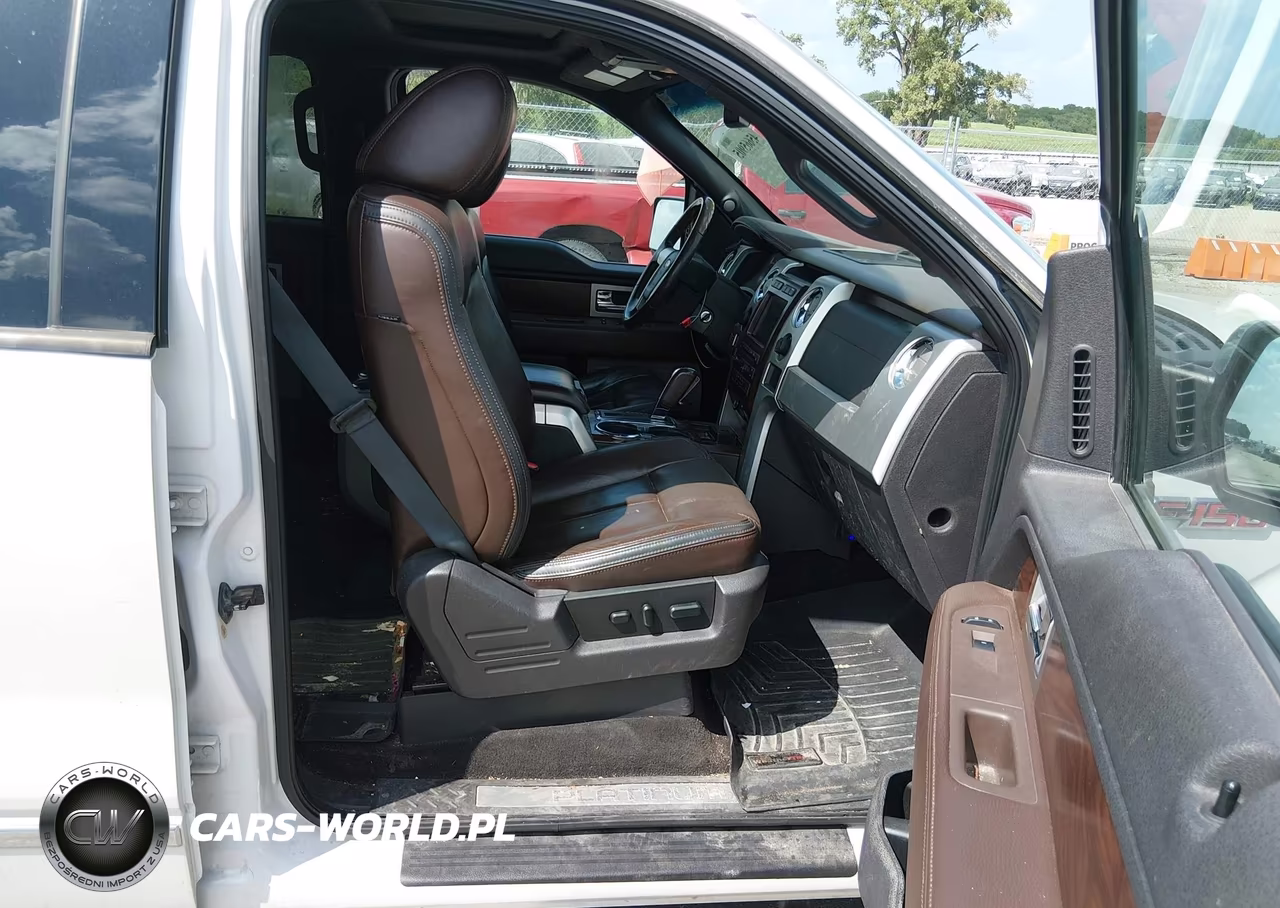 2010 Ford F-150 Platinum VIN:1FTFW1EVXAFB79715 - 5