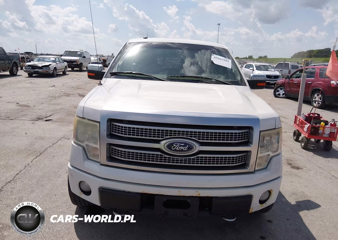2010 Ford F-150 Platinum VIN:1FTFW1EVXAFB79715 - 6