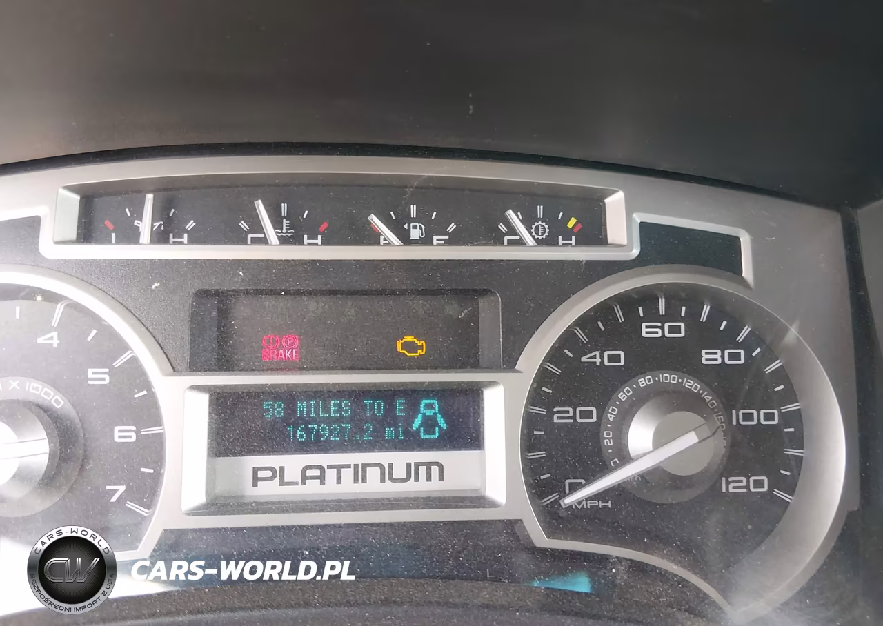 2010 Ford F-150 Platinum VIN:1FTFW1EVXAFB79715 - 7